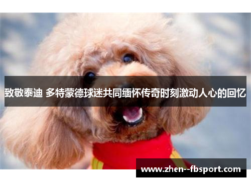 致敬泰迪 多特蒙德球迷共同缅怀传奇时刻激动人心的回忆 致敬泰迪 多特蒙德球迷共同缅怀传奇时刻激动人心的回忆