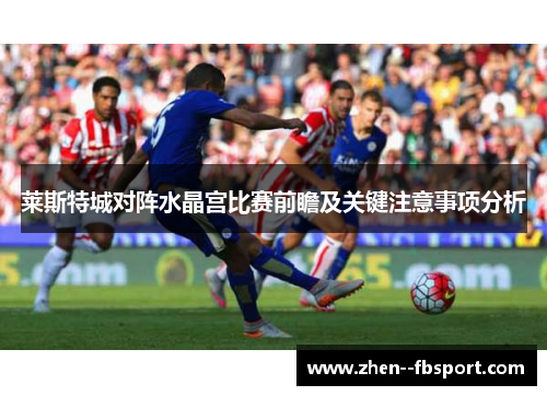 莱斯特城对阵水晶宫比赛前瞻及关键注意事项分析 莱斯特城对阵水晶宫比赛前瞻及关键注意事项分析