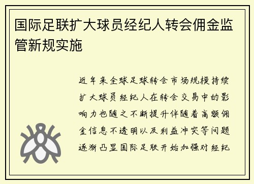 国际足联扩大球员经纪人转会佣金监管新规实施